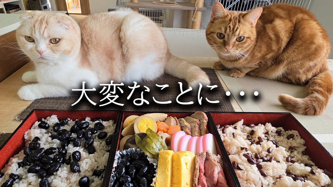 初めて見るごちそうに大変なことに...