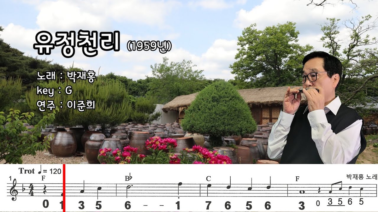 유정천리 (G) / 박재홍 노래  하모니카 연주