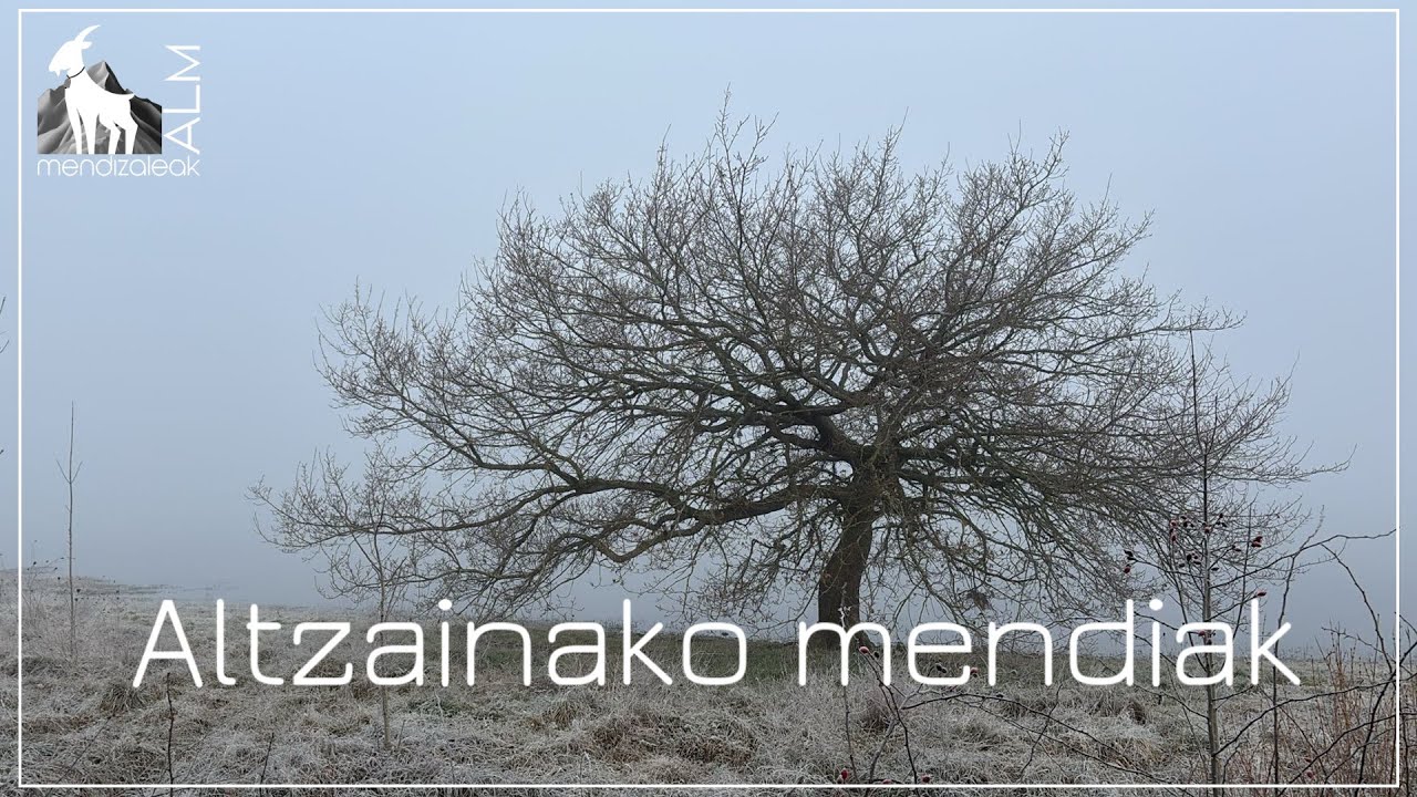 Altzainako mendiak