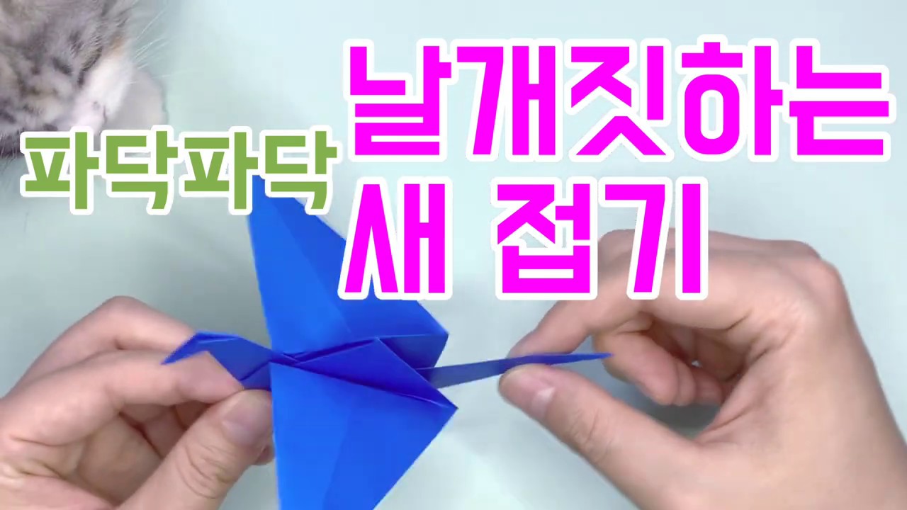 파닥파닥 날개짓하는 새 접기 / 날개짓하는 공작접기 / 쉬운 종이접기