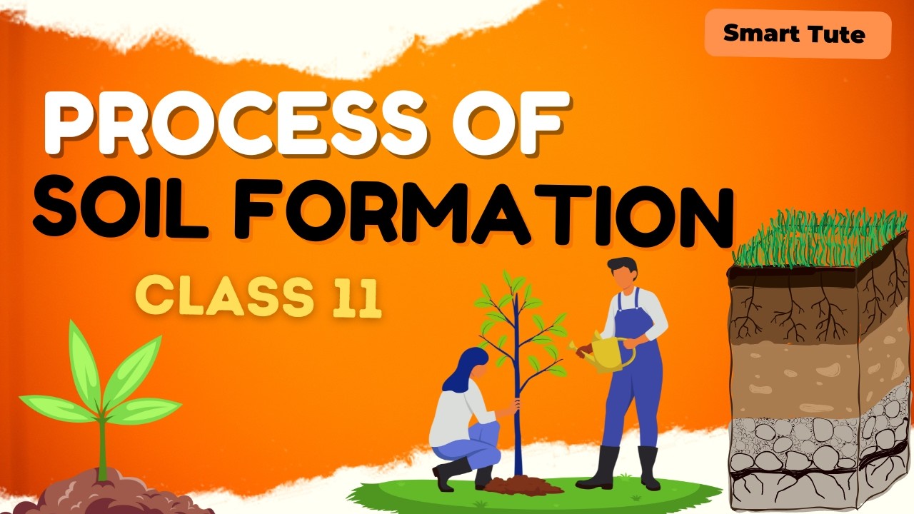 Process of Soil Formation - Geomorphic Processes | Class 11 Geography | NCERT
