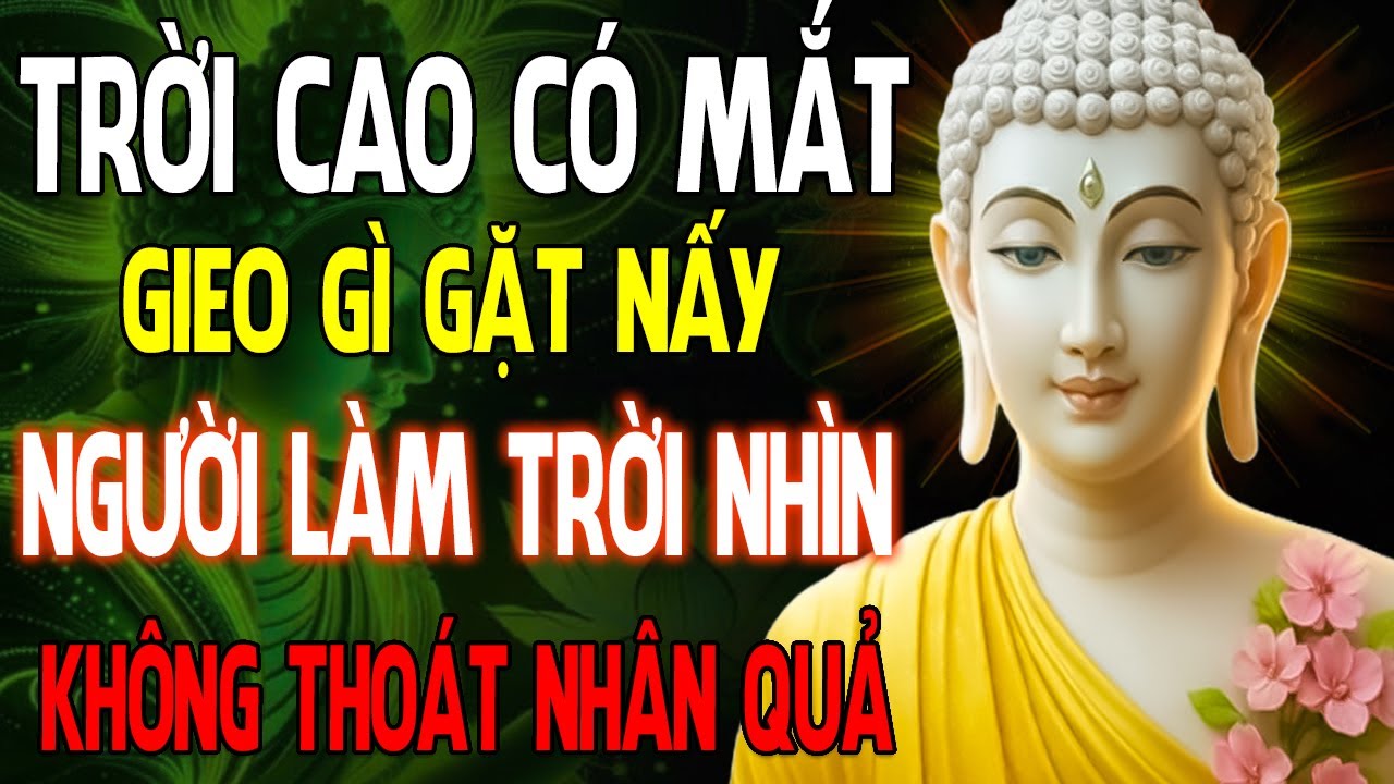 Trời Cao Có Mắt - Gieo Gì Gặt Nấy, Người Đang Làm Trời Đang Nhìn, Không Thoát Nhân Quả