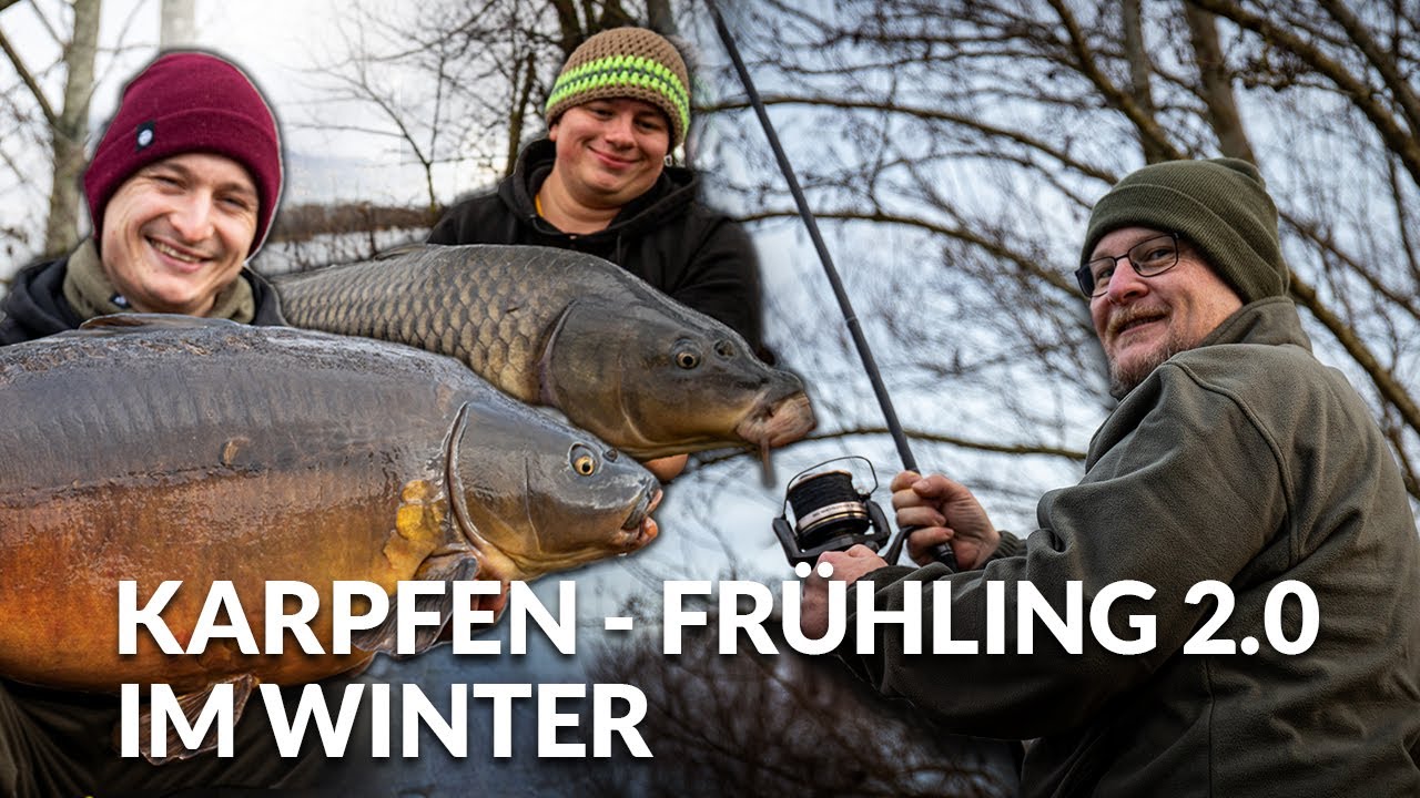 Karpfen-Frühling 2.0 🌻 im Winter 🥶 | P.R. Baits | Boilie | Karpfenangeln im Januar ⛄️