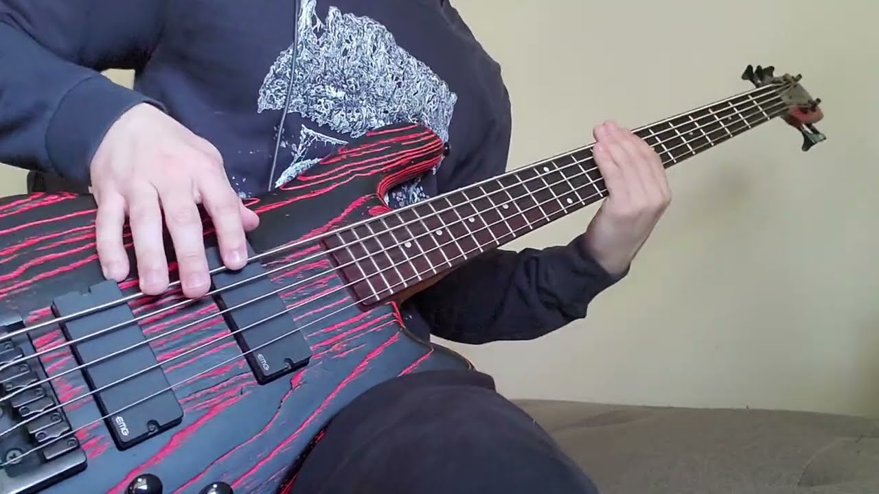 200 Stab Wounds - Tow Rope Around the Throat | Bass Cover