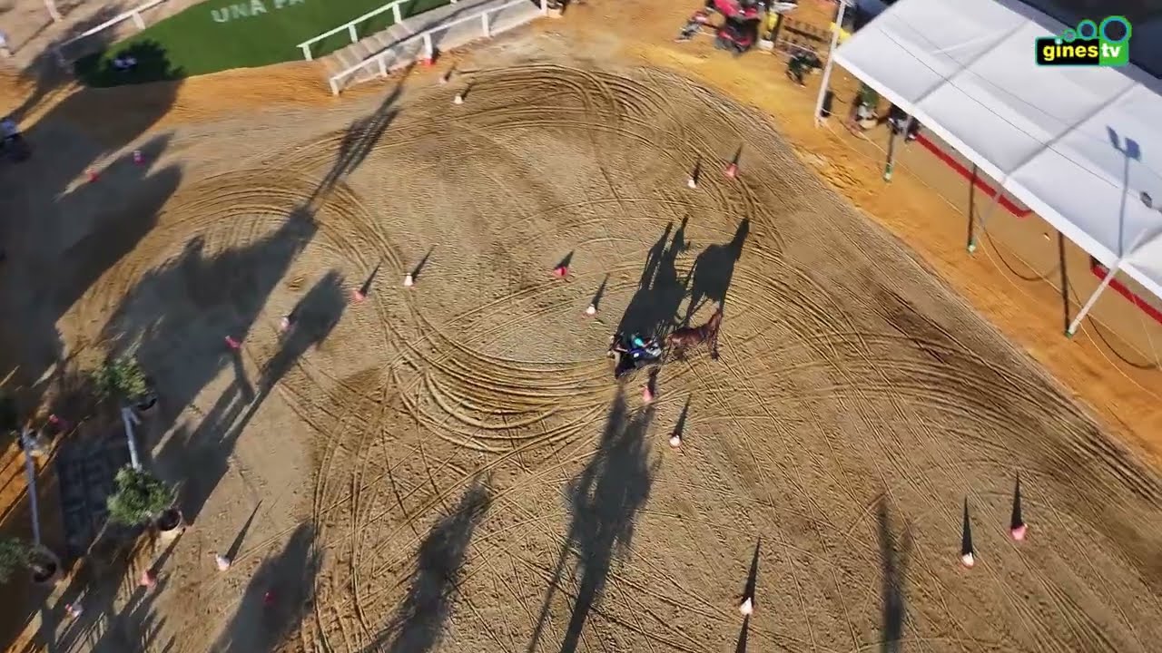 XI Prueba de Obstáculos de Enganches en 'Una Pará en Gines 2025' (Resumen)