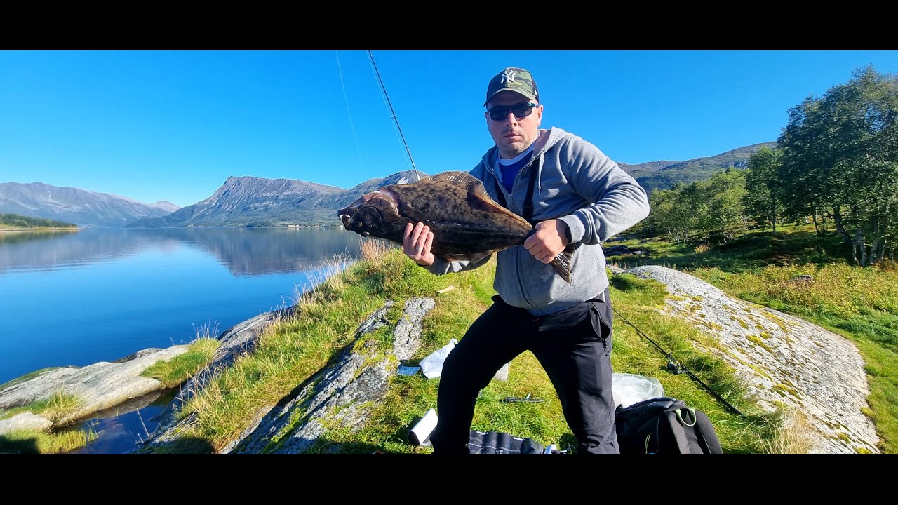 Halibut z brzegu na makrelę/dwa konkretne brania na Surfcasting