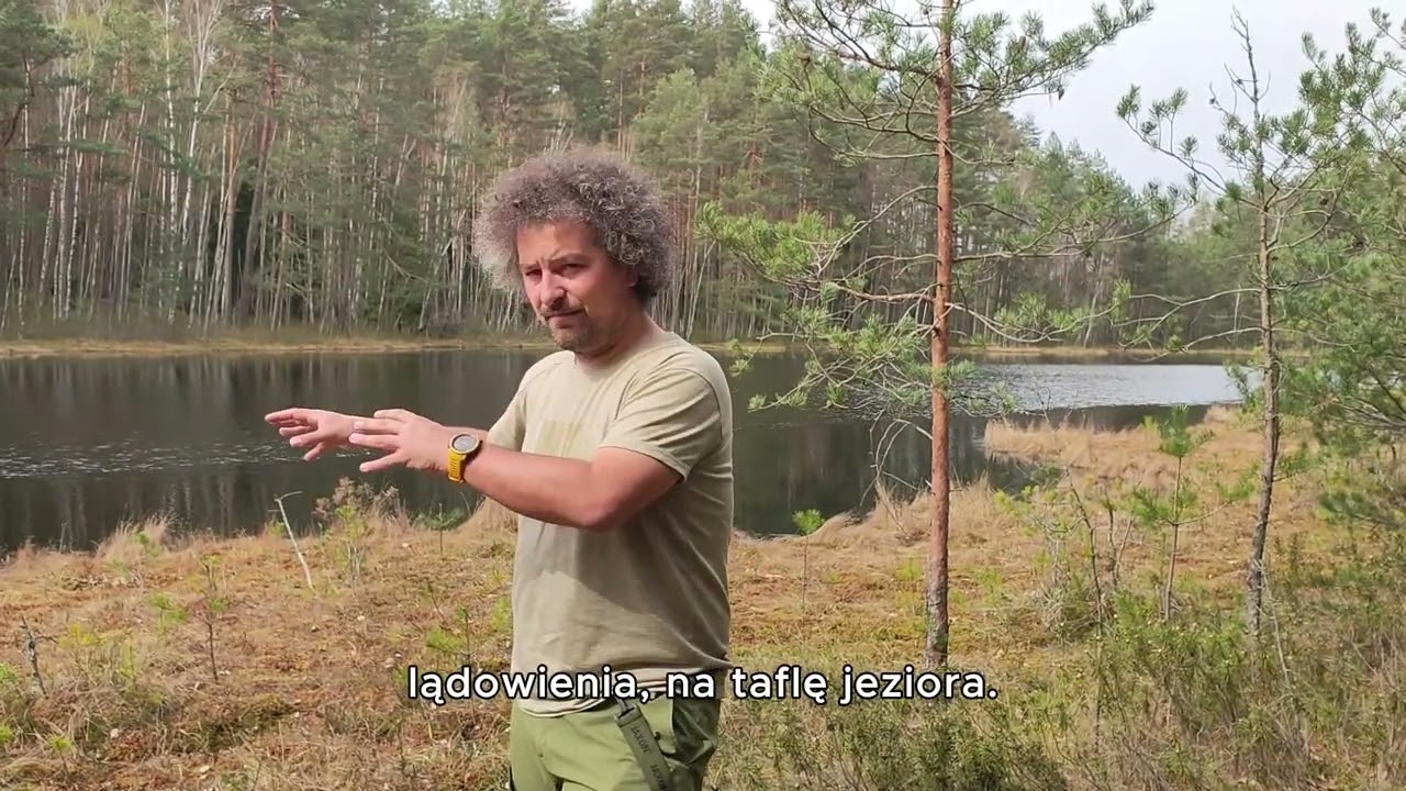 Czym jest pło i jak powstaje?