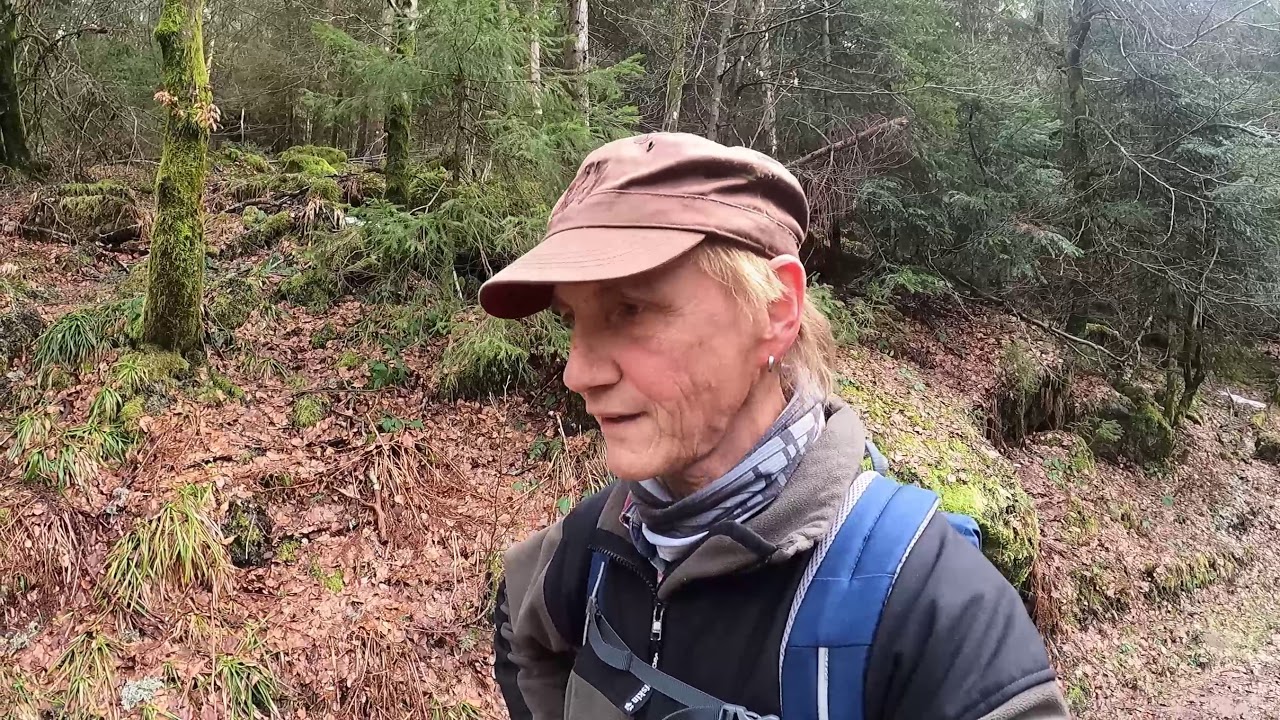 Im Wolftal zum Burgbachwasserfall