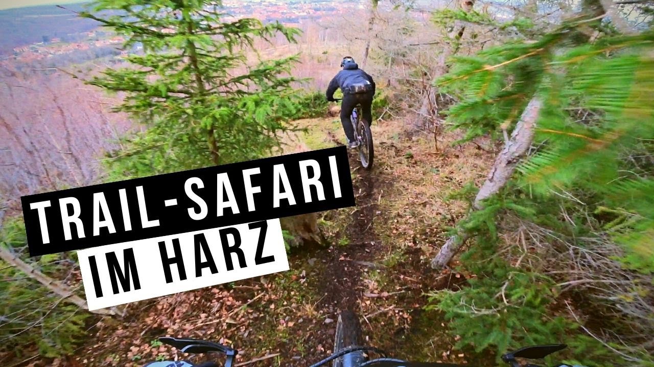 Abenteuer biken im Harz / Mit E-Bike - Assist zu abgelegenen Trails gemogelt
