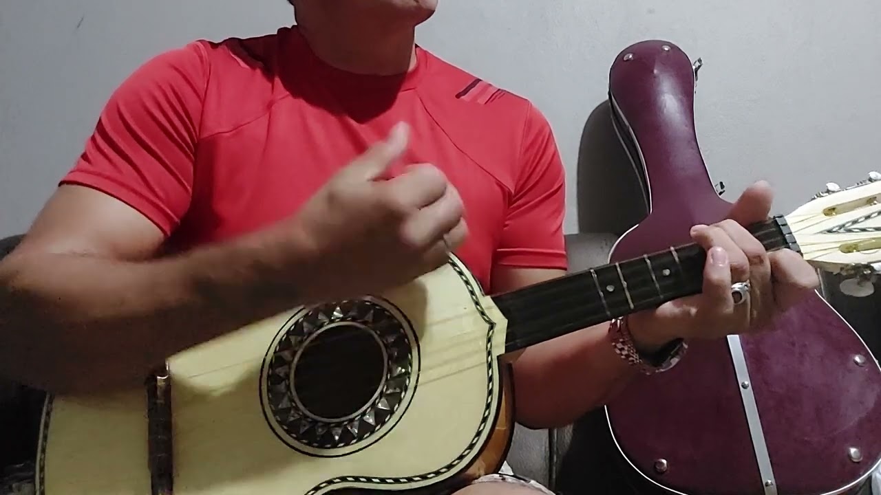 Vihuela El pajaro cu