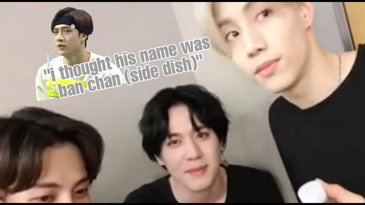 Other Idols Singing And Dancing To / Talking About Stray Kids