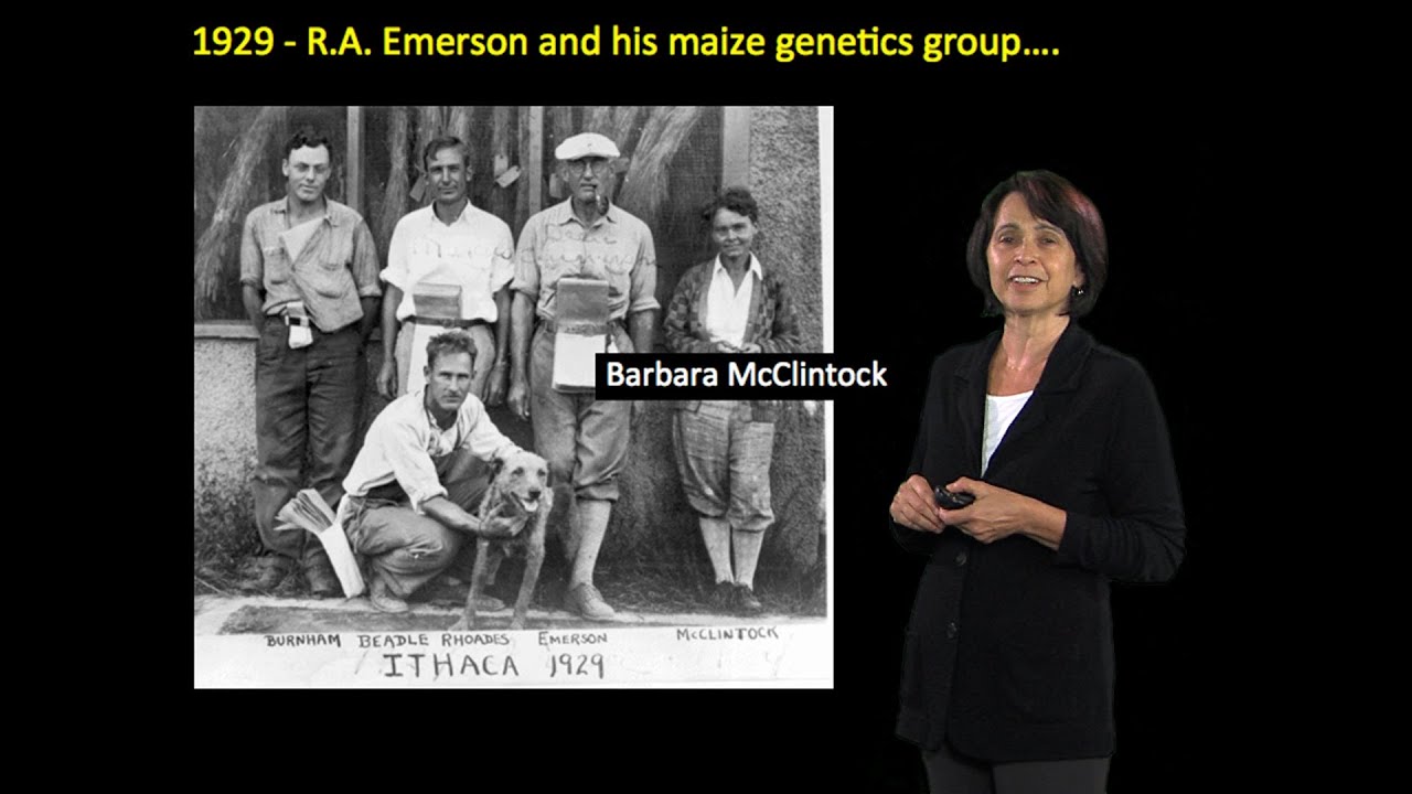 Susan Wessler (UC Riverside) Part 1: Introduction to transposable elements