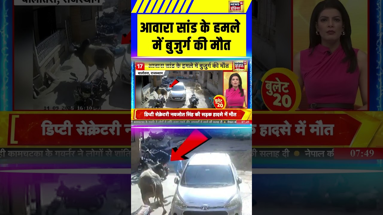 Balotra: Elderly man dies in stray bull attack Rajasthan News #shorts #rajasthan