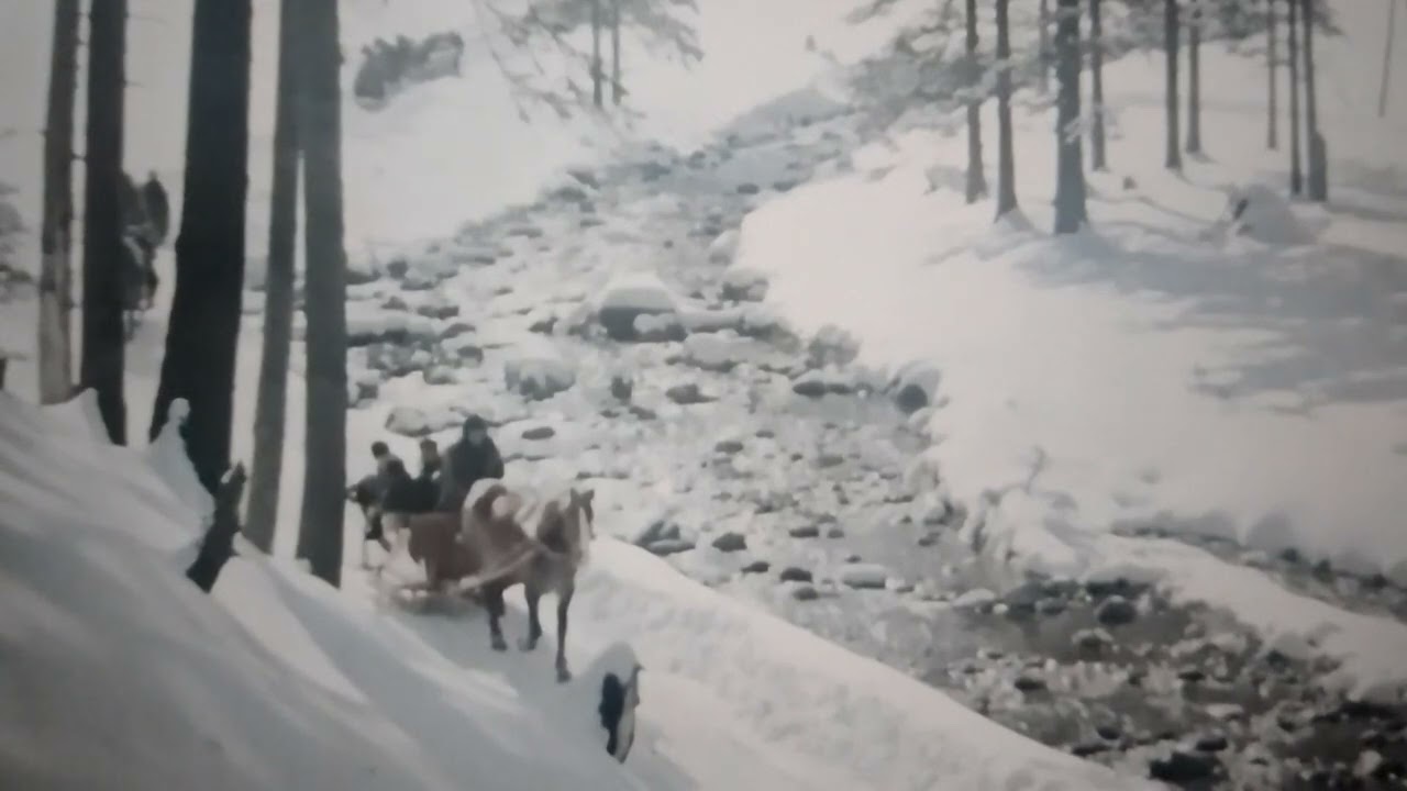 Popędzimy w dal saniami