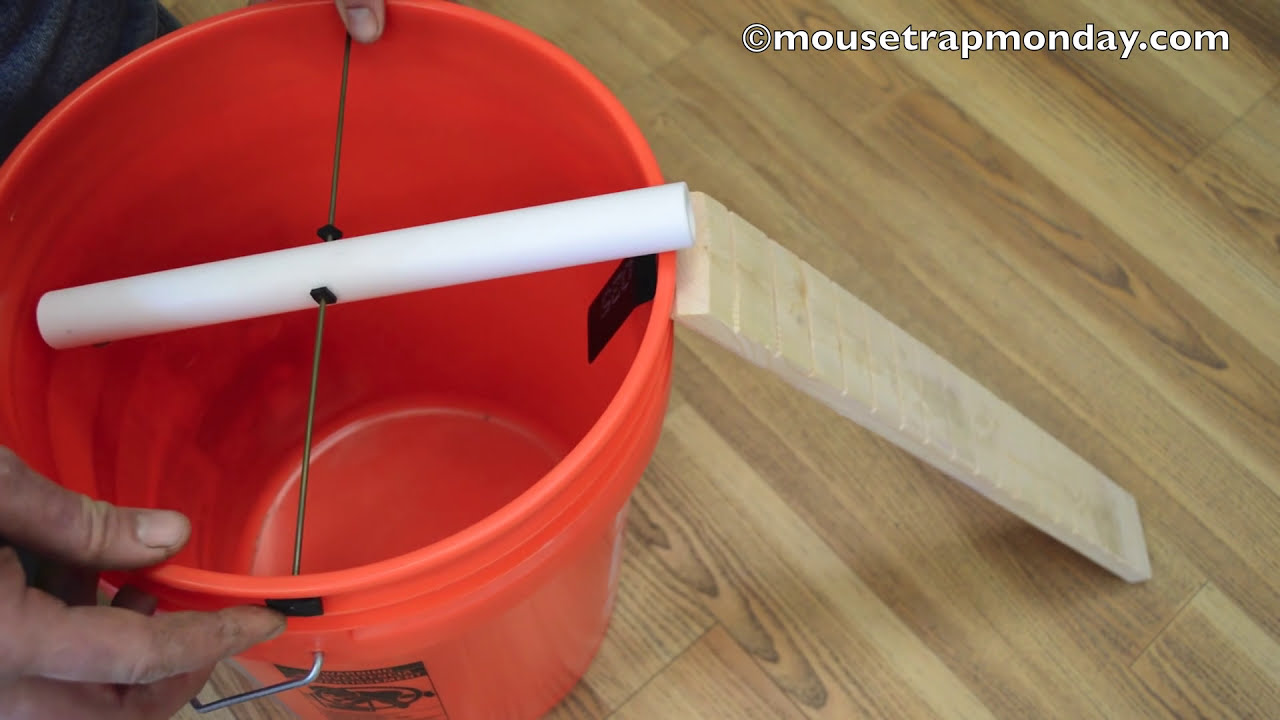 Teeter Totter Bucket Mouse Trap In Action with motion cameras - mousetrapmonday
