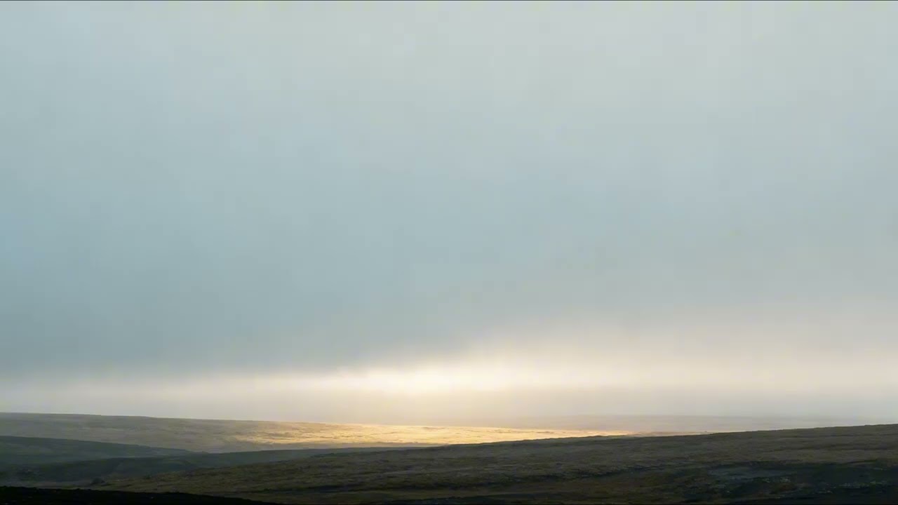 GENESIS — It Grieved Him
