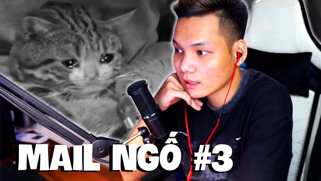 ĐỌC MAIL NGỐ #3: Tôi chưa bao giờ nghĩ sẽ được nghe những câu chuyện như này...