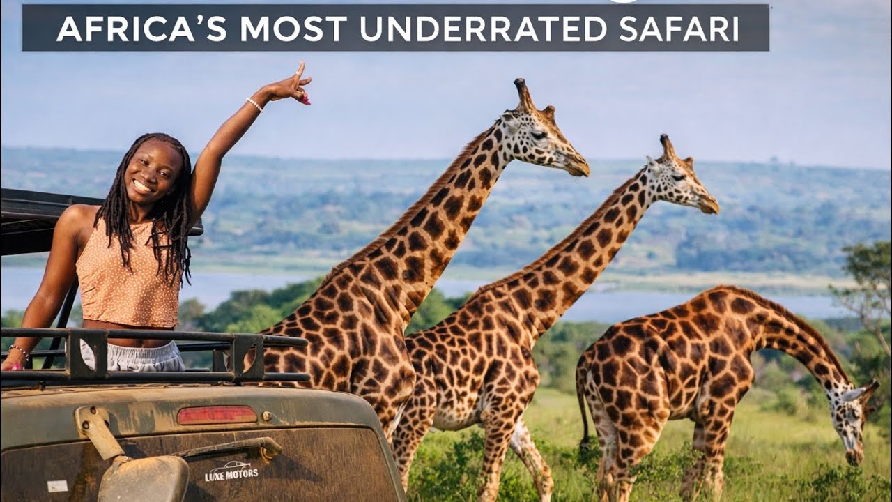 Murchison Falls, Uganda | Africa’s Most Underrated Safari Destination(Ep2 –The Great Western Safari)