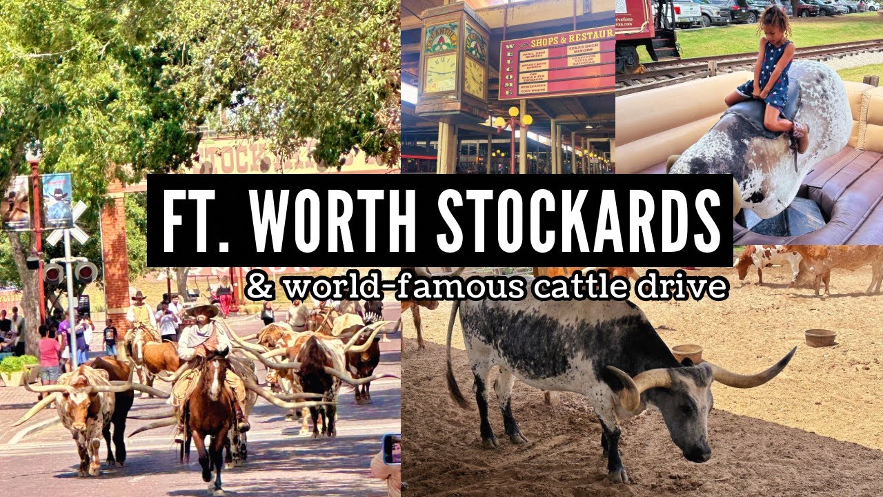 FORT WORTH STOCKYARDS + CATTLE DRIVE