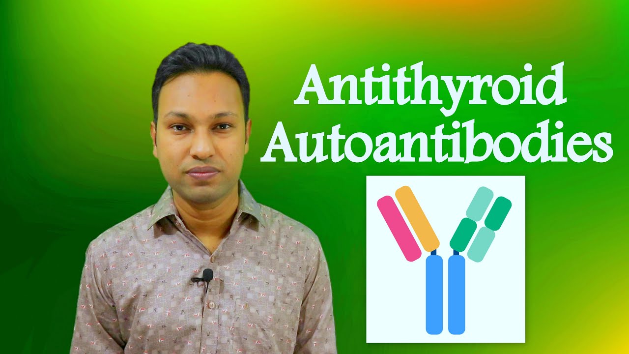 Antithyroid Autoantibodies: Clinical Significance & Interpretation