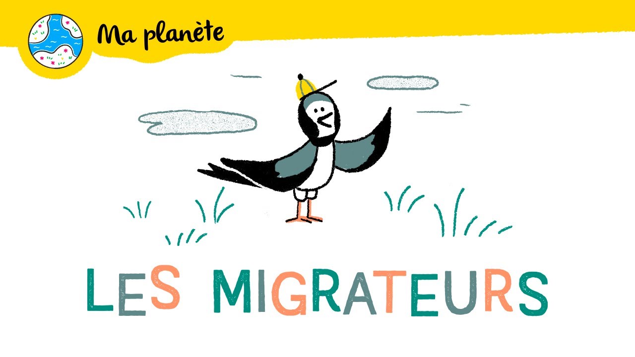 Les animaux migrateurs expliqu&eacute;s aux enfants - Ma Plan&egrave;te #19