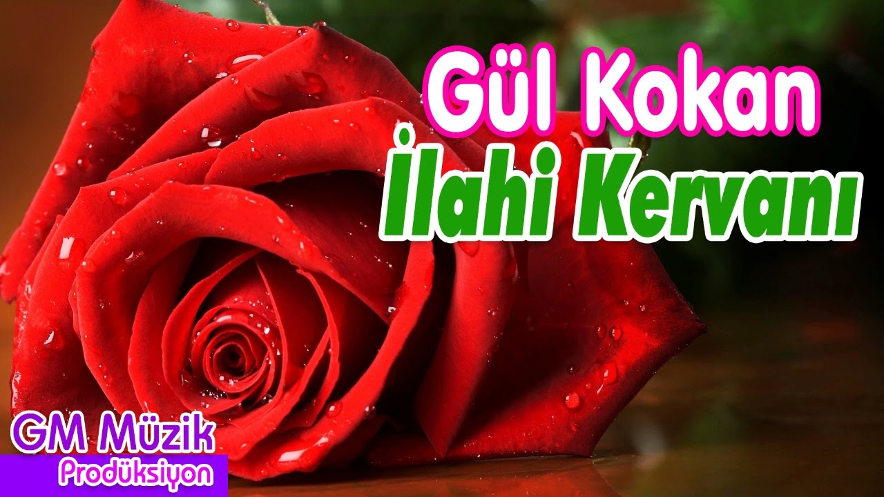 Gül Kokan İlahi Kervanı 💖 En Güzel İlahiler 💖 Karışık İlahiler   #ilahi #ilahiler #ilahidinle