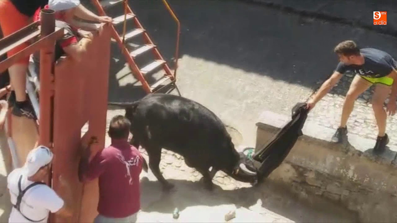 Susto en el II Toro de Cajón en Hinojosa de Duero
