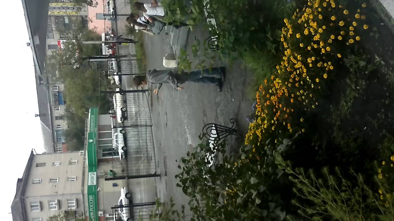 Йоер Илюша