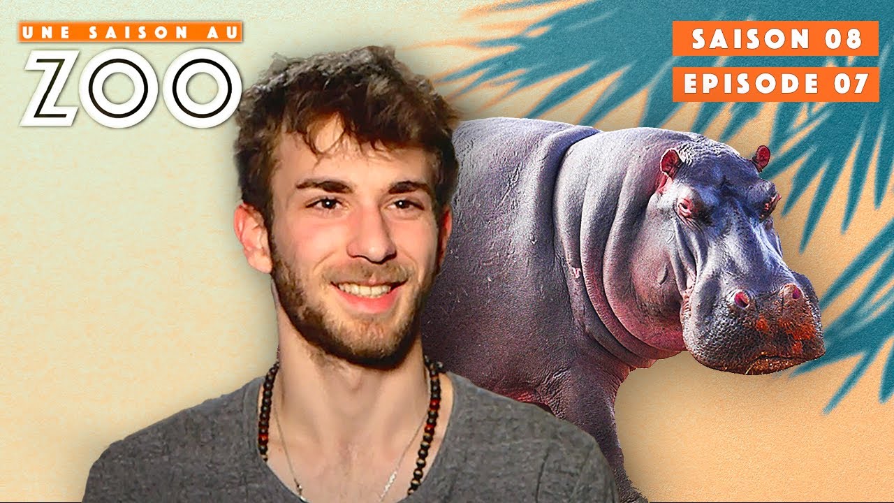 Romain passe son Habilitation pour les Animaux Dangereux ! | S08EP07 | Émission | Une Saison Au Zoo