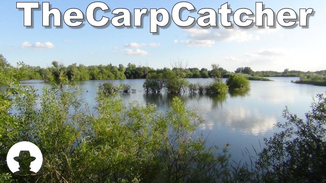 True Carping - Part thirteen- St Ives Lakes ~ Big Fjords