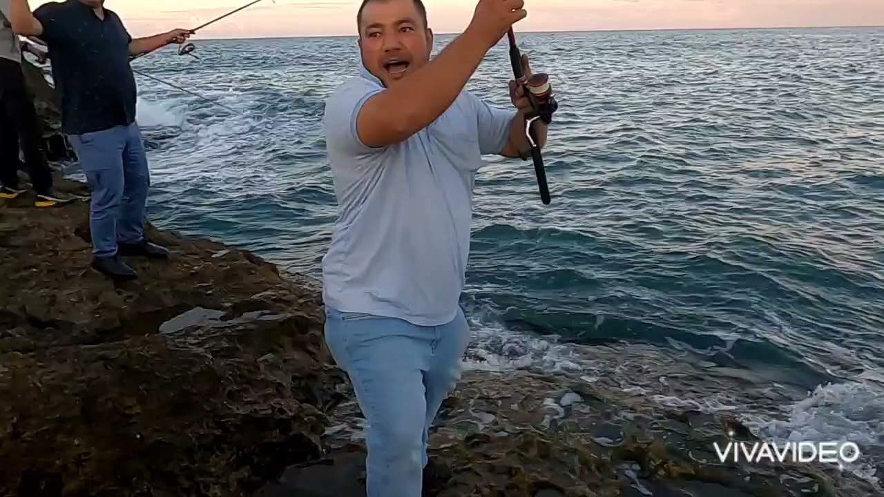 BU KOYDA  LÜFER BOLLUĞU VAR !! KAMP VE BALIK AVI İÇİN MÜKEMMEL BİR MERA !!!