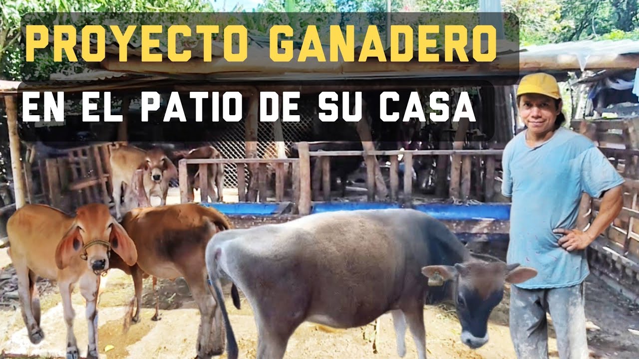 En el Patio de Su Humilde Rancho Está Construyendo su Sueño Ganadero. 
