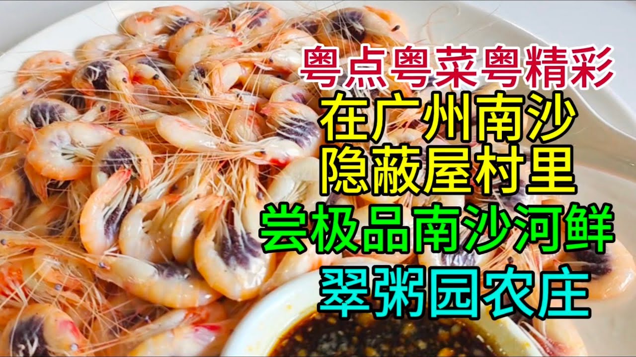 粤点粤菜粤精彩，在广州南沙隐蔽屋村里品极尝南沙河鲜，翠粥园农庄，粤语中字幕2025-4-21