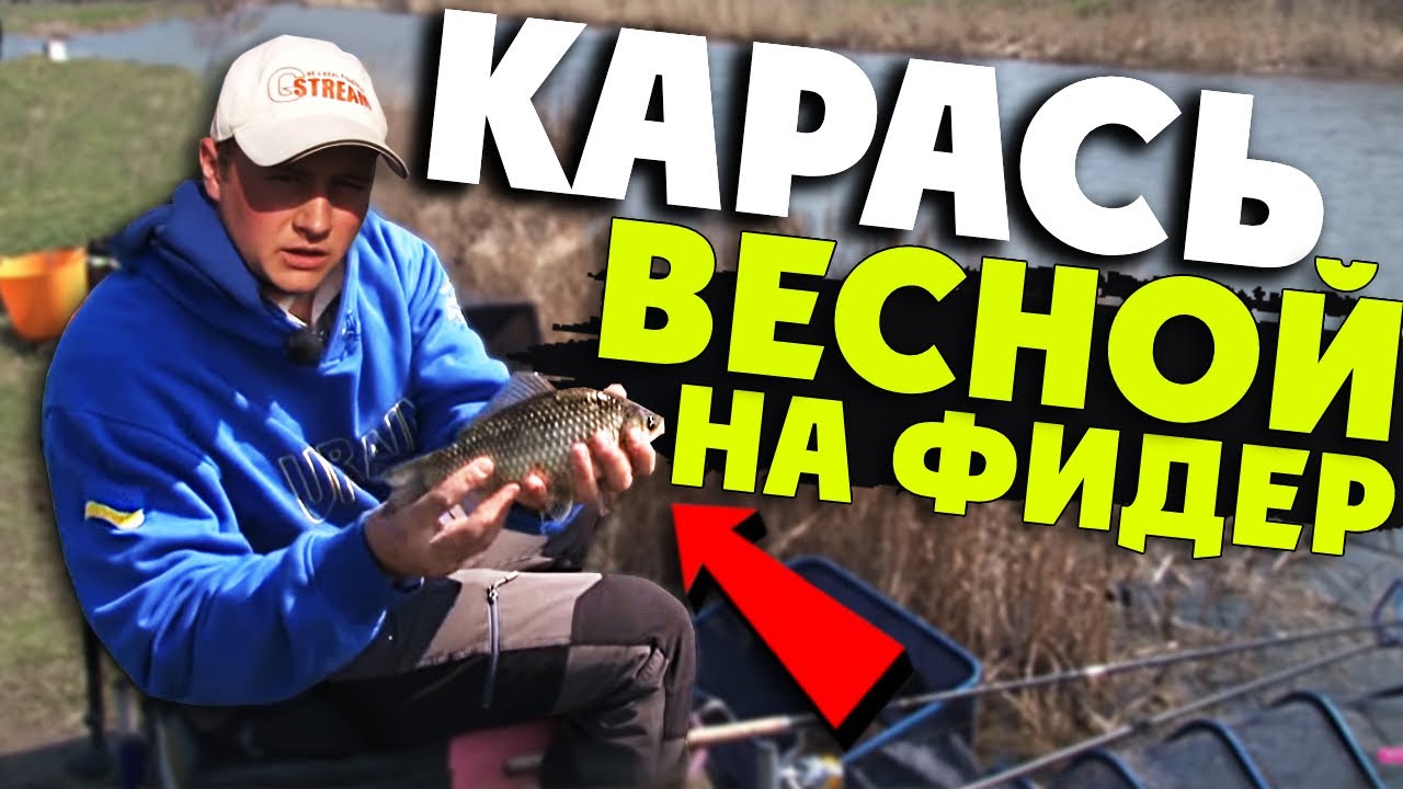 Ловля КАРАСЯ весной на ФИДЕР! Как ловить? На что ловить? Прикормка на карася?
