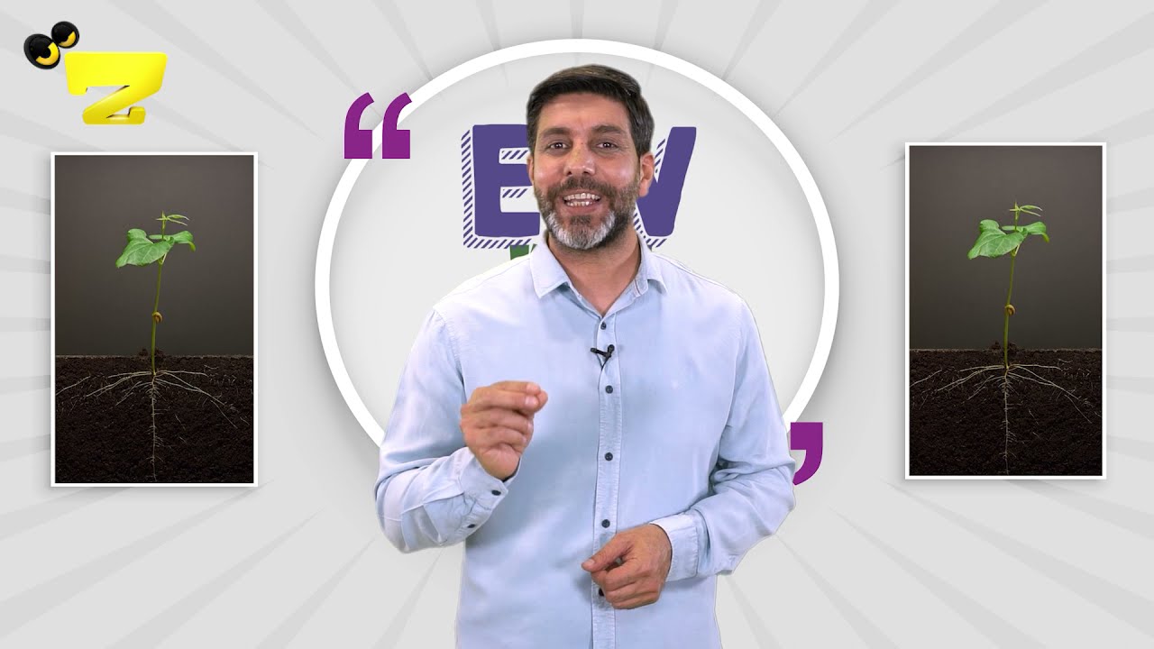 Zarok TV - EW K&Icirc; YE - EW &Ccedil;I YE // (Beş 21: El Cezer&icirc;)