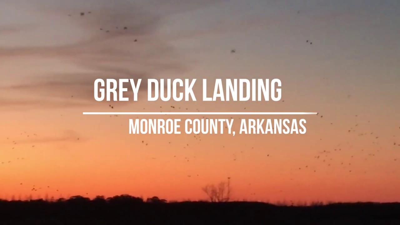 Grey Duck Landing Hunting Club For Sale, Brinkley Arkansas