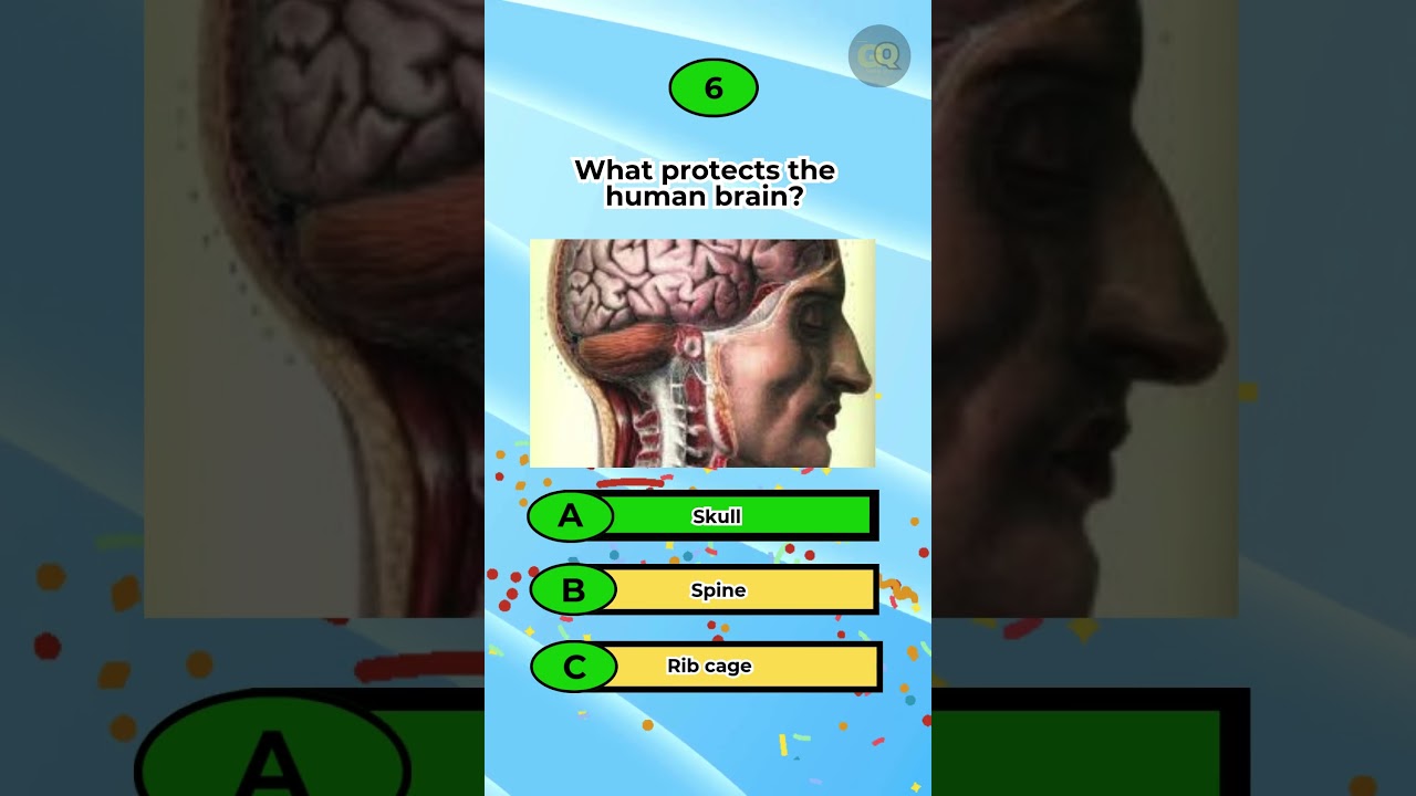 Science Quiz #6 #DidYouKnowScience#CuriousMinds#Edutainment#ScienceEngagement#ScienceMindset #quiz