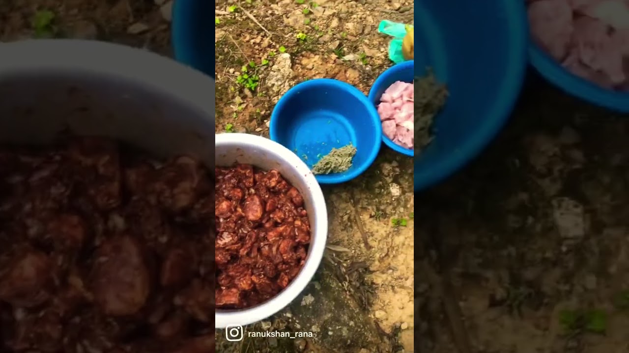 #forestcooking