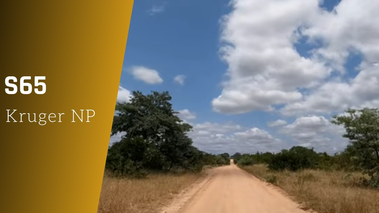 S65 scenic self-drive - Kruger national park