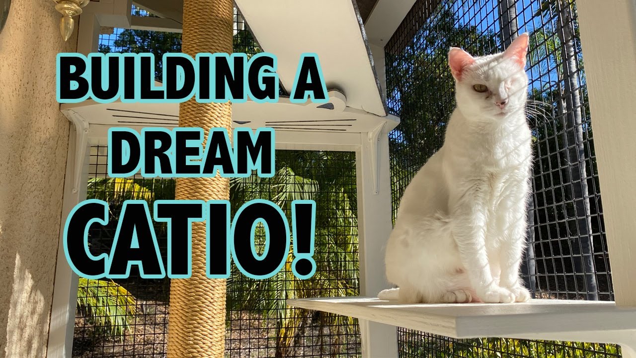 Building a Catio for my Cats (From Start to Finish!)