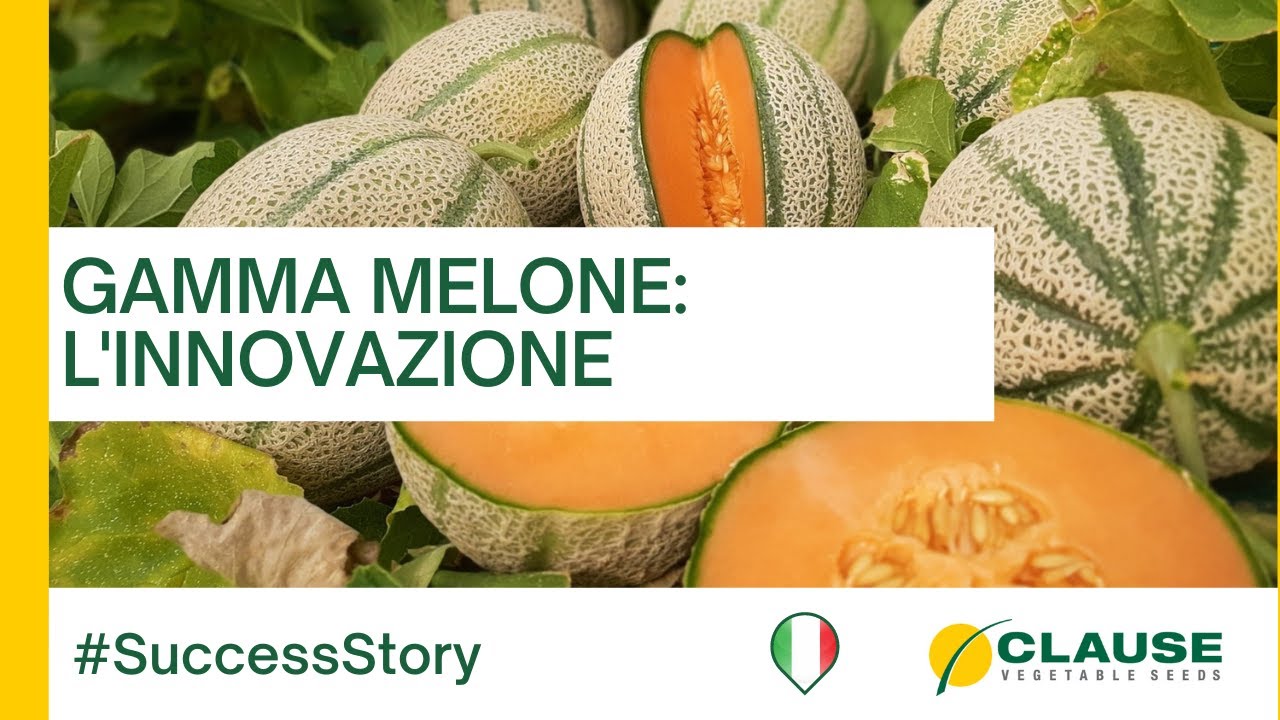 Gamma melone: trasmettere l'innovazione HM.CLAUSE - #SuccessStory | HM.CLAUSE