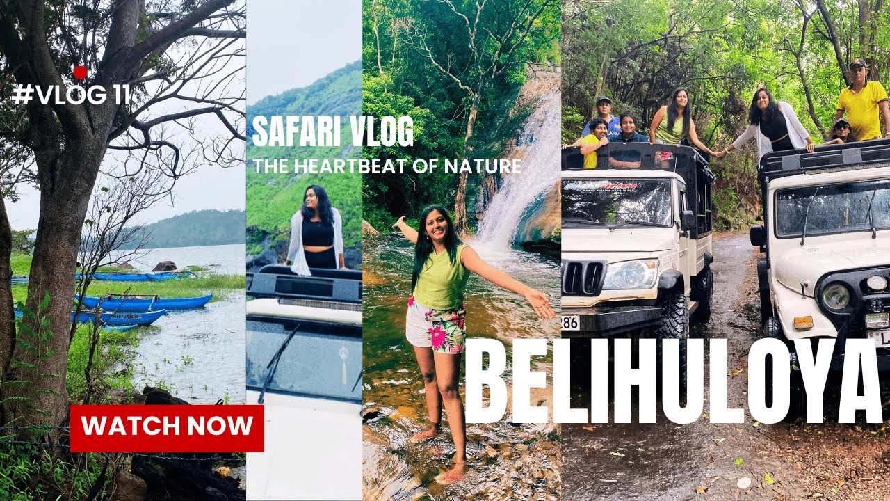 බෙලිහුල්ඔය සෆාරි🚙මෙච්චර අඩුවට මෙච්චර තැන් ගොඩක් SURATHALI, NAGRAK, SAMANALAWEWA, PAHANTHUDAWA දවසෙන්