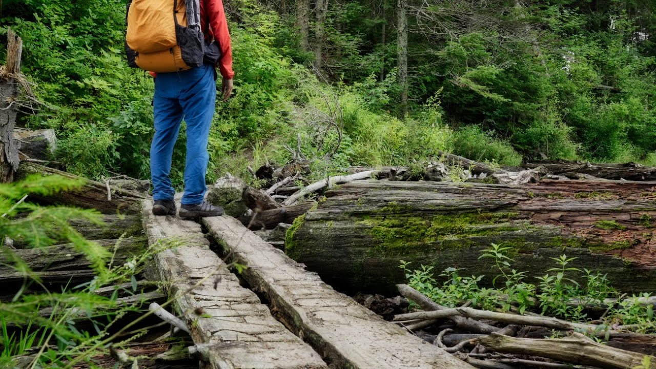 Solo Hiking 47 km on Western Uplands Backpacking Trail from Rain Lake in Algonquin, Canada.