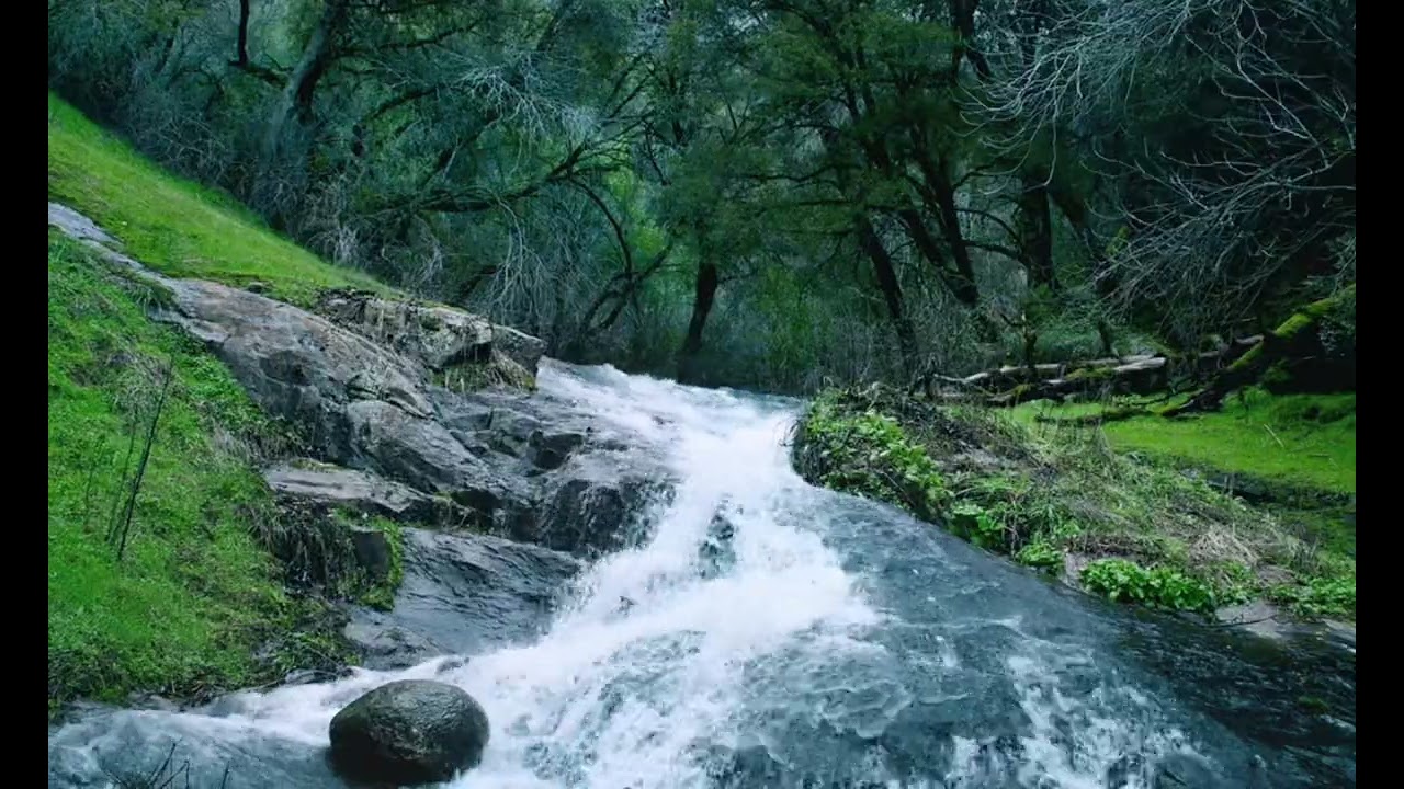 سورة المؤمنون (13-33)، القارئ كامل يوسف البهتيمي