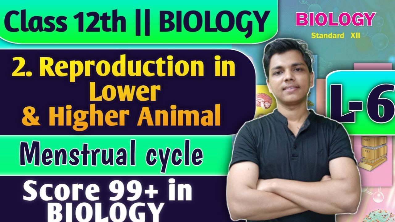 L-6 | 2. Reproduction in Lower and Higher Animal Class 12 Biology External genitalia #biology