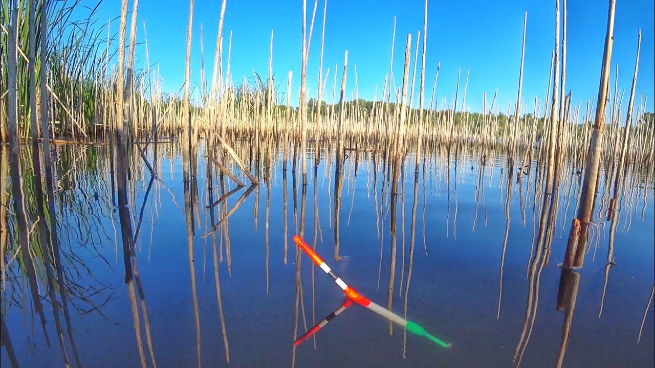НАШЁЛ ОКНО, ГДЕ ОНИ ЛАЗАЮТ! Рыбалка на поплавок. Ловля карася.