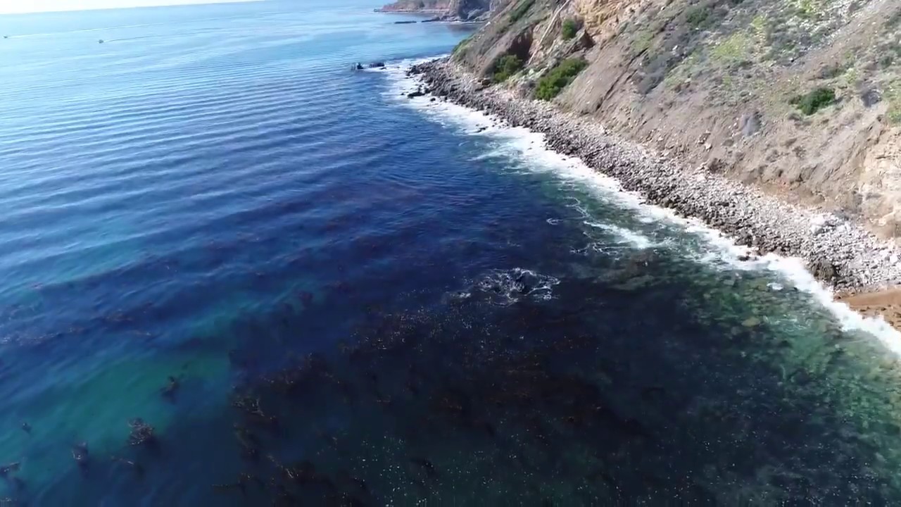 Palos Verdes Beach - drone first day fun