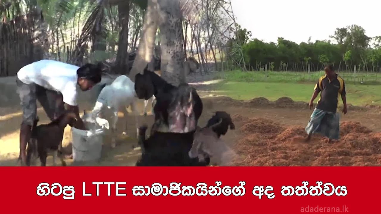 හිටපු LTTE  සාමාජිකයින්ගේ අද තත්ත්වය