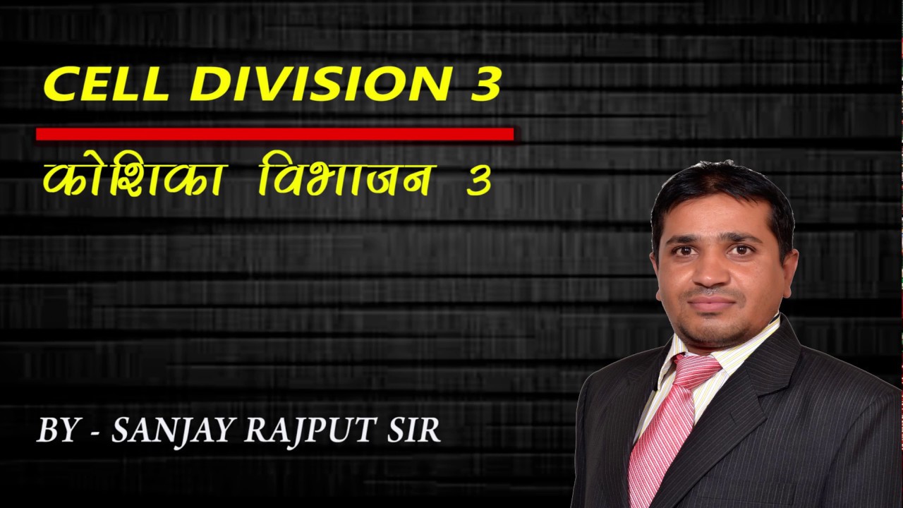 Cell Division 3 l Meiosis l CRASH COURSE l RAPID REVISION l MGCI