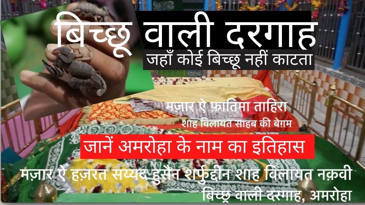 हज़रत शाह विलायत दरगाह | बिच्छू वाली दरगाह | Hazrat Shah Wilayat Dargah | Bichhu Wali Dargah | Amroha